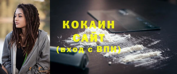 гашик Зеленокумск