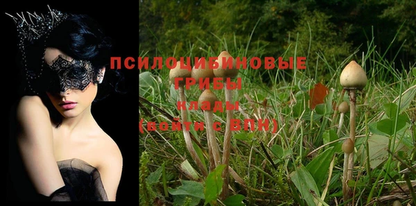 соль курить ск Зерноград