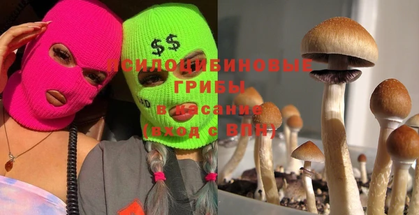 соль курить ск Зерноград
