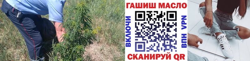 ТГК концентрат  Купить где  Черняховск 
