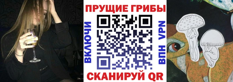 Купить  Черняховск  Галлюциногенные грибы мицелий 